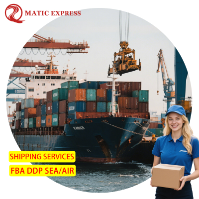Professional Logistics & Freight Forwarder DDP Cargo Sea Express from Qingdao