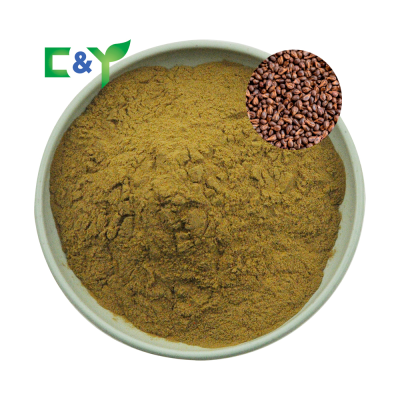 Healthy Food Grape Seeds for Sale  Grape Seed Extract Powder  High Quality Grape Seed Extract