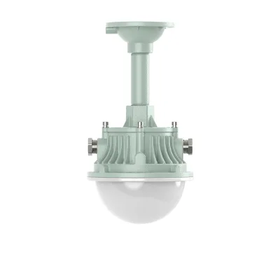 IP66 Waterproof Class I Division 2 Led Explosion Proof Light 20/30W for Oilfield Gas Station