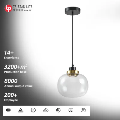 Nordic Pendant Lamp Dining Hanging Glass Pendant Light Fixtures Ceiling Bedroom Kitchen Pendant Lighting Over Island