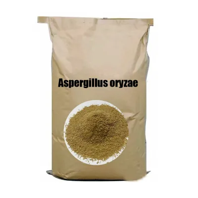 Best Nutritional Supplements Improve Disease Resistance Aspergillus Oryzae Powder 10 Billion