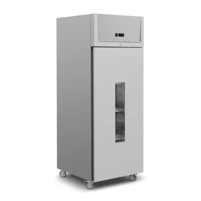 Feelart Wholesale Commercial Kitchen Refrigerators on Sale Premium New Commercial Refrigerator for Kitchen Use