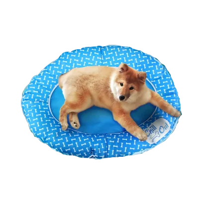 Small & Medium-Sized Dog Pool Float Non-Inflatable PVC Dog Pool Toy for Hot Summer Safe for Dogs