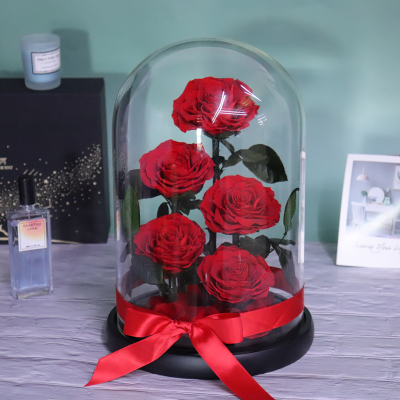 Yunnan Preserved Big Rose Princess in Glass Forever Box for Christmas Delivery of Dry Preserved Roses with Foam