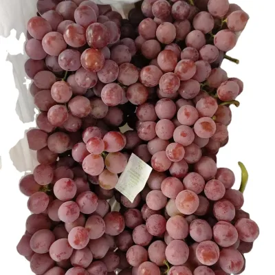 Fresh Red Globe Grape