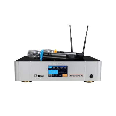 PRO-750 2 Channels 750W Metal Home Amplifier with Effect Audio Processor System