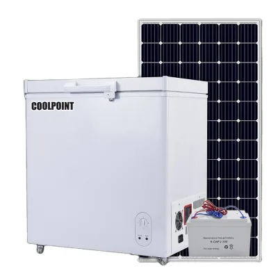 CKD Freezer 158L 12V24V DC  Home Commercial Sikelan Compressor Adapter Hybrid Power Build Freezer Factory Chest Solar Freezers