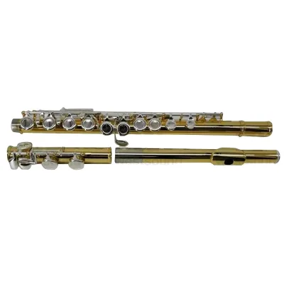 Flute with Gold-Plated Body 16 Holes Closed Holes C Key C Scale Wind Instrument Colorful Flute