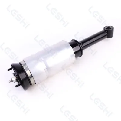LESHI OE RNB501580 RNB501250 Air Strut to Coil Spring Range Rover Conversion Air Shock Absorber for Land Rover Discovery 3 L319
