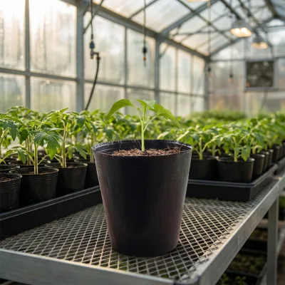 Standard Size Plastic Plant Pots Seedling Grow Cups with Drainage Holes for Vegetables