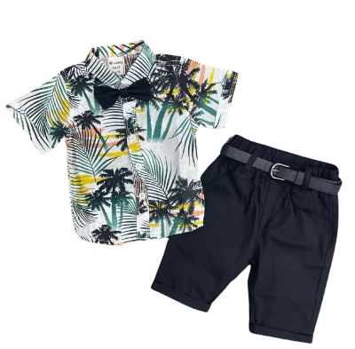 Summer Kids Short Shirt Suit Embroidery Design High Quality Hot Sale Style in Africa 2pcs Kid Suit