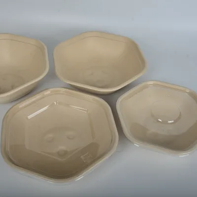 Biodegradable Natural Sugarcane Pulp Bowl Sustainable round Salad Bowl with Lid for Takeaway for Snacks Candies Parties
