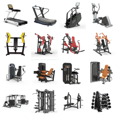 Turnkey Sport Gym Equipment Solution Complete Strength and Cardio Fitness Machine Set for Commercial Fitness Project