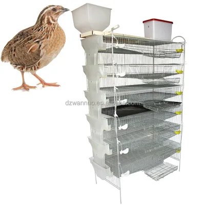 Best Selling Plastic Quail Cages for Sale Quail Rearing Cage Commercial Quail Layer Cage