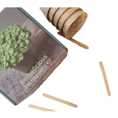 Herbelicious Classic Microgreens Set for Gardening Basil Coriander Dill Garlic Chive Parsley Herb Vegs-Gift