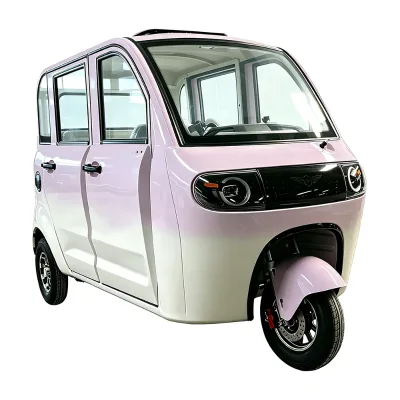 Hot-selling Custom Fully Enclosed 1000W 4 Passenger Electric Adult Tricycle 3 Wheel for Elderly Adults Family with Back Seat