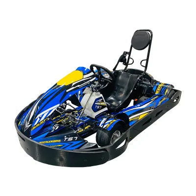 Factory Cheap Price on Sale Finely Processed Racing Go Engine Parts TS7 Tental Kart With GX200CC