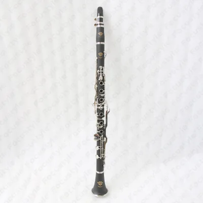 Hard Rubber G Clarinet Black Color 20Key German Clarinete Chinese Cheap Clarinet G Turkish