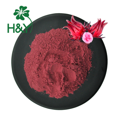 Hot Selling Hibiscus Flower Extract Powder Hibiscus Flower Extract