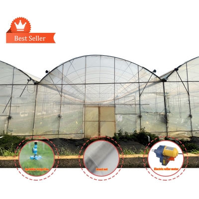 Covered Outdoor Greenhouses China Custom Green House for Planting