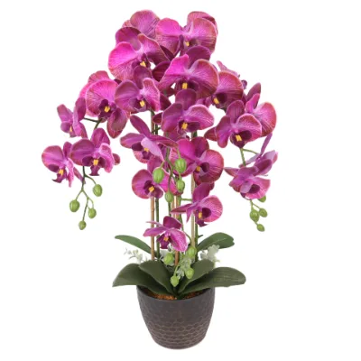 New Style Luxury 3d Real Touch 4 Prongs Phalaenopsis Flower Artificial  Plastic Potted Plant Artificial Orchid in Pot