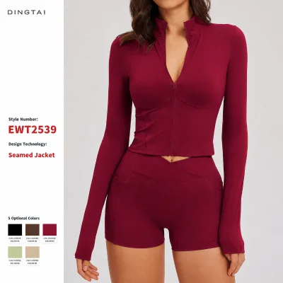 Dingtai Paneled Stand Collar Yoga Jacket for Women Front Zipper Cropped Long Sleeve Naked Feel Quick Dry Outdoor GCC Certified