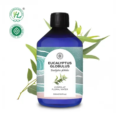 Eucalyptus Globulus Hydrolat - Hydrosol Organic for Skin, Diffuser - 100 Pure Natural Floral Water, Steam Distilled | OEM 500mL
