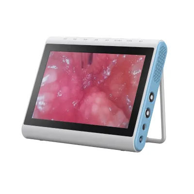 10.1inch HD Touchscreen Portable Image Processor for Ureteroscope and Cystoscope Endoscope System