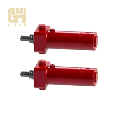 Custom Manufacturer Rubber Vulcanizing Press Plunger Ram Large Diameter Single Acting Upstroke Rubber Molding Hydraulic Cylinder