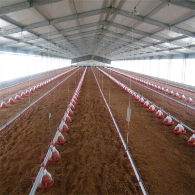 Free Range Chicken House and Poultry House with Cage