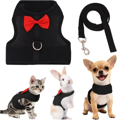 High Durable Pet Harness Leash Set Breathable Nylon Personalized Buckle Closure Small Pet Leash Chest Harness Harness