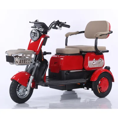 High Power EEC Certified Adult Passenger Transport Low-cost Electric 3-wheeled Motorized 48V Vehicle with Open Design