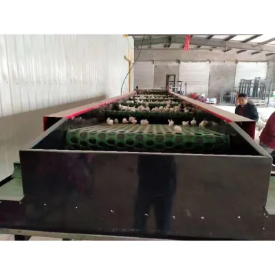 Manufacturer Wholesale China-Made 11900mm Length Fruit and Vegetable Sorting Machine with Gear for Commercial Catering