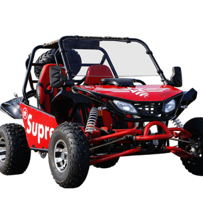 New 1500W Electric off Road Buggy for Adults Hydraulic Spring dune Buggy