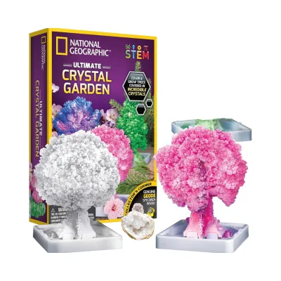 STEM Crafts Kit for Kids Crystal Growing Educational Art Project 6-hour Garden Growth