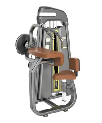 Commercial Fitness Sports Gym Equipment,strength Training 45 Degree Tricep Extension Machine,over Head Tricep Extension Machine