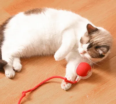 Automatic Jumping Moving Kitten Toys, Self-Play Entertainment for Cats Interactive Cat Ball Pet Toy
