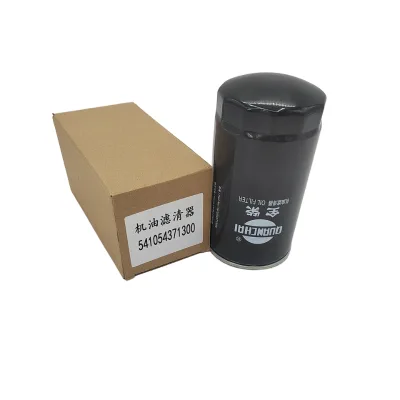 Factory Price High Quality Truck Oil Filter Model 541054371300 LF16015 LF16352 LF3000 Oil Filter LF16015