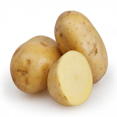 Ruiqi Fresh Potatoes Storage 50-200g Sizes 6-Month Shelf Life Wholesale Export From Henan China