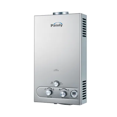 Iron Panel Open Flue Type 10L Copper Heat Exchanger Shower Water Heater Instant Tankless Natural Gas Boiler Outdoor Household
