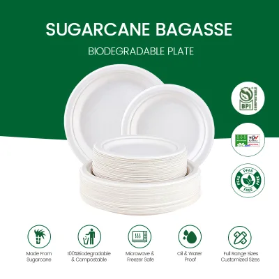 Customized 6~10inch Bagasse Sugarcane Plate Disposable Food Serving Plates Wholesale Party Picnic Weddings Cake Plates