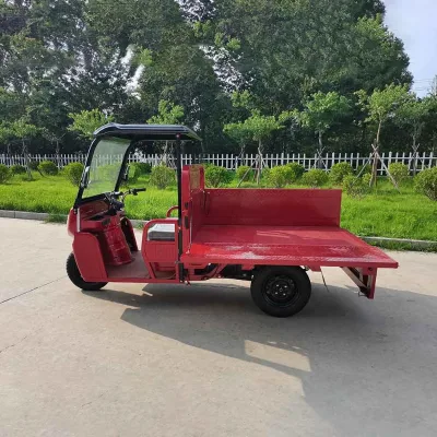 Cargo Triciclo Electrico Aultos Barato 1000 W Multiusos Ultimos Modelos Para Adultos Negocio De Carga Electrico 3 Ruedas