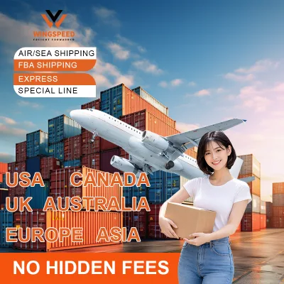 Professional Ocean Shipping From China to USA France Sea Freight Forwarder to Door