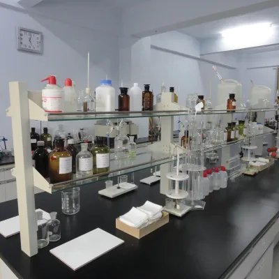 2025 Factory Direct Sales Wholesale High Purity Bulk L-arginine Hydrochloride