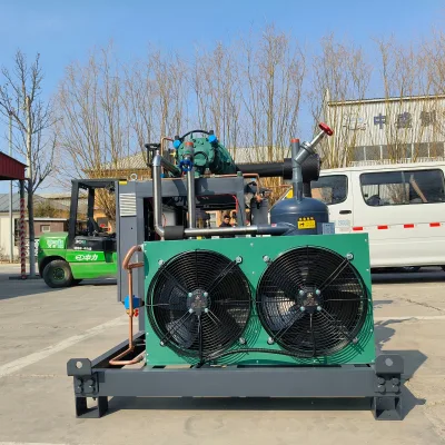 Industrial Screw Condensing Unit for Seafood Frozen Warehouse