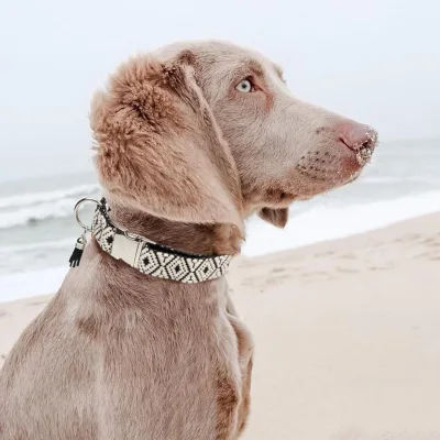Bohemian Jacquard Woven Dog Collar Adjustable Metal Buckle Ethnic Geometric Pattern Pet Collar for Small Medium Large Dogs