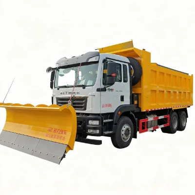 Sinotruk Shandeka Custom Size Winter Roads Snow Removal Truck 20m³ Salt Spreader 3.5m Plow/Snow Melting Spreader Truck