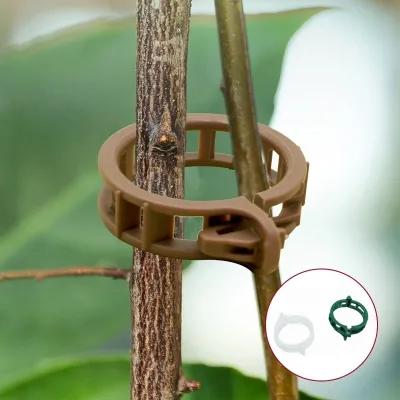 Plastic Clips, Garden Climbing Rope Hanging Straw Clamps, Tied Vine Clips, Tomatoes, Large Plant Fixing Clips