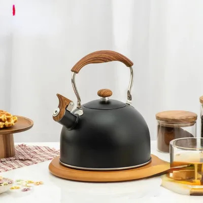Factory High Quality Kitchen Home Hot Water Tea 3L 2.5L Pot Color Spray Paint Stainless Steel Whistle Kettle