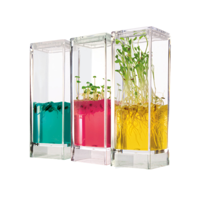 Country-Style Plantarium Garden Lab Floor Usage Observe Plant Growth in Garden or Indoor